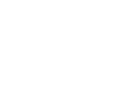 Outline of fern branch